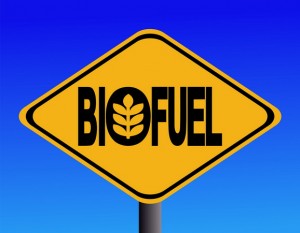Hemp is a renewable BIOFUEL