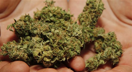 Can hemp win in a marijuana society