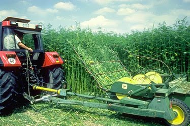 California: Hemp farming in California closer to reality with SB 676