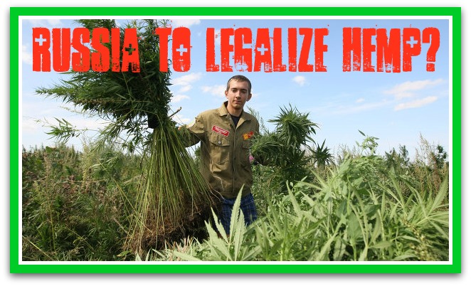 Russia to Possibly Legalize Hemp!
