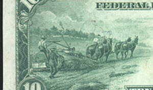 Hemp Farming in the USA