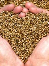 Agricultural Hemp provides a solution