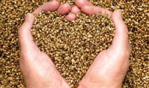Agricultural Hemp provides a solution