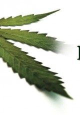Hempsters Plant The Seed keeps changing people's views