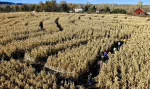 Colorado falls bring kids to farms