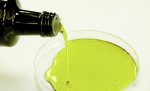 Hemp Seed Oil, Omega 3 and YOU