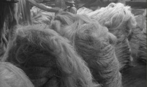 Hemp bales - Hemp has a rich industrial history in the USA