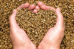Agricultural Hemp provides a solution