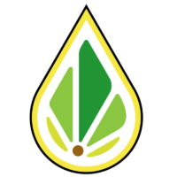 Hemp.com Inc. logo